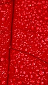 Preview wallpaper leaf, red, drops, dew, wet