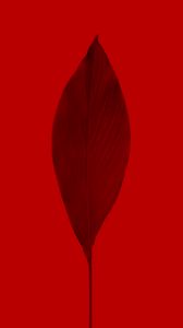 Preview wallpaper leaf, red, macro, plant