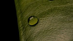 Preview wallpaper leaf, relief, drops, macro, green