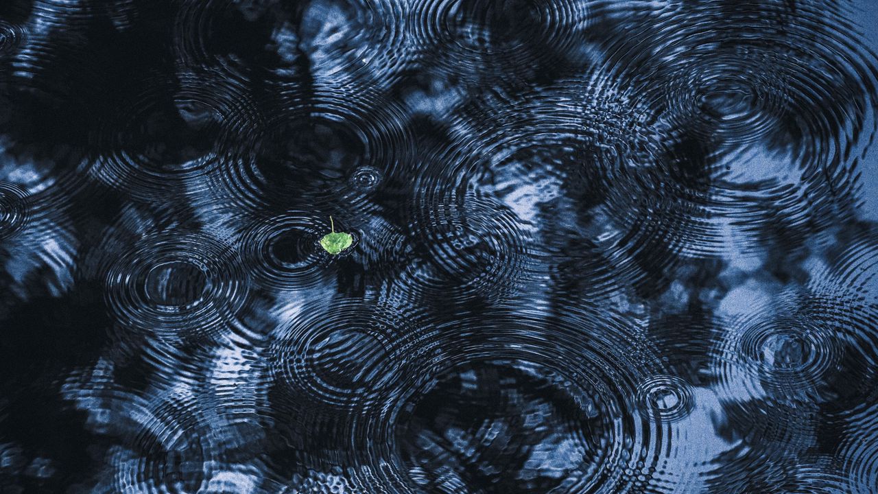 Wallpaper leaf, ripples, streaks, water