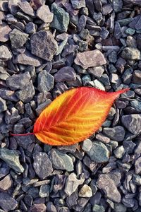 Preview wallpaper leaf, stones, autumn