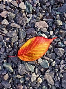 Preview wallpaper leaf, stones, autumn