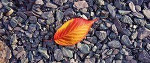 Preview wallpaper leaf, stones, autumn