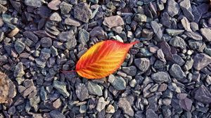 Preview wallpaper leaf, stones, autumn