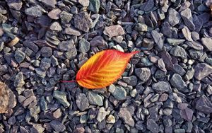 Preview wallpaper leaf, stones, autumn