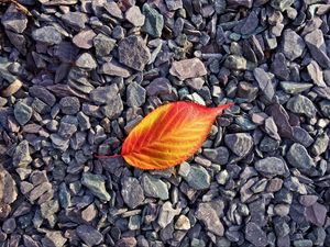 Preview wallpaper leaf, stones, autumn