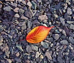 Preview wallpaper leaf, stones, autumn