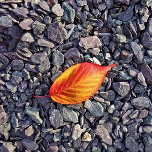 Preview wallpaper leaf, stones, autumn