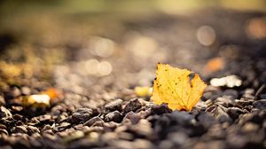 Preview wallpaper leaf, stones, autumn, blur