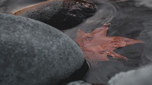 Preview wallpaper leaf, stones, water, macro