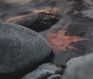 Preview wallpaper leaf, stones, water, macro