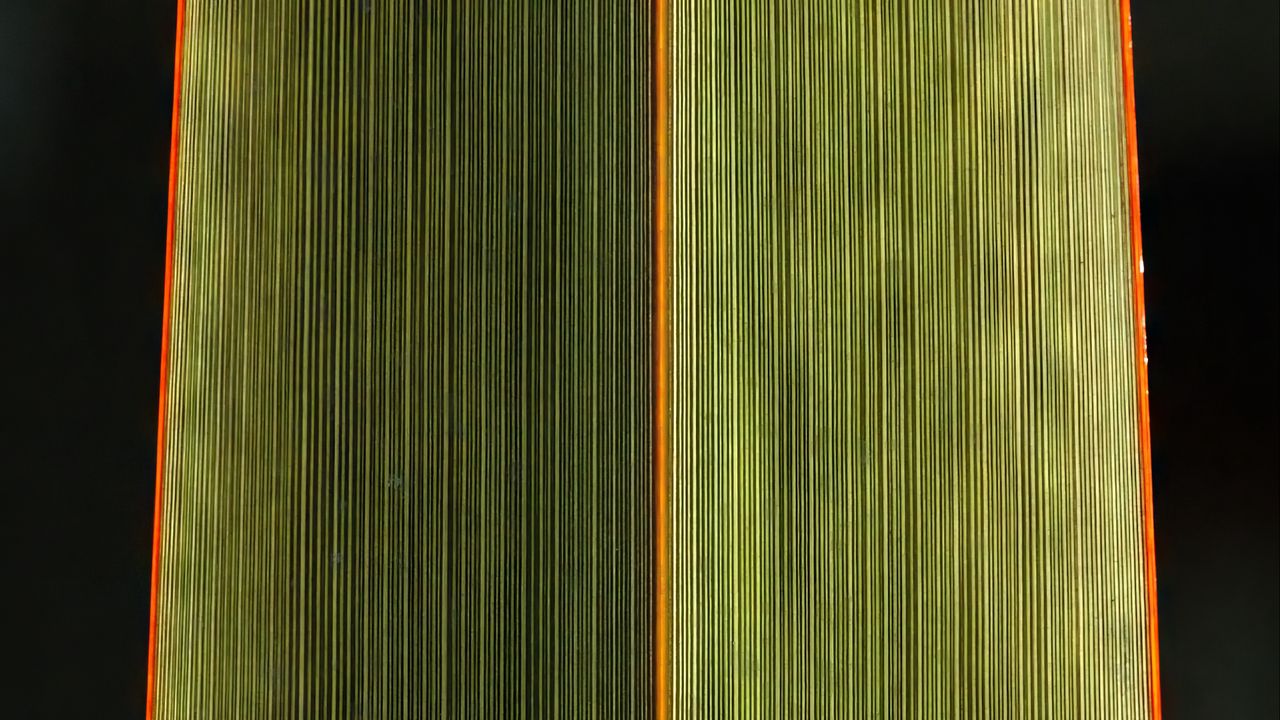 Wallpaper leaf, stripes, green, black background, macro