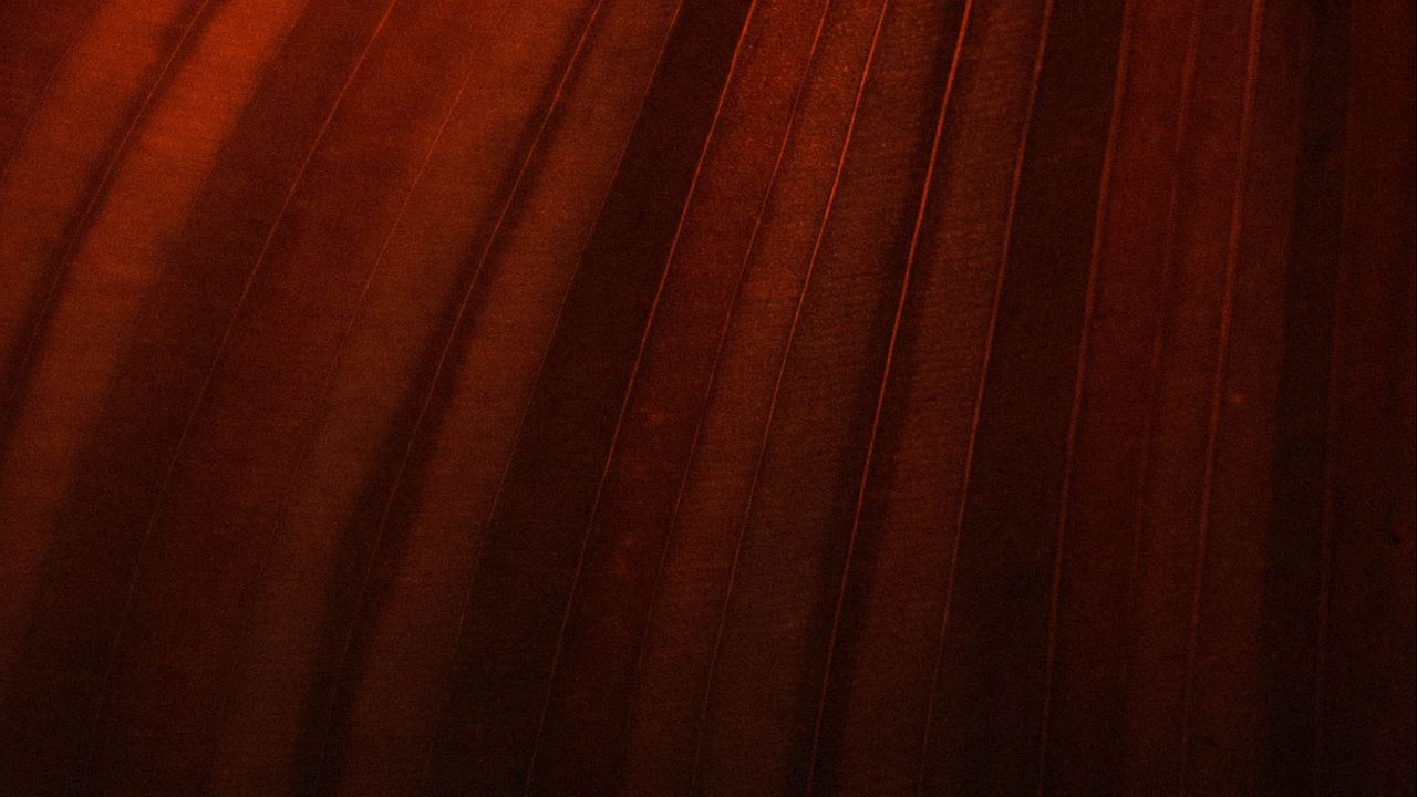 Wallpaper leaf, stripes, macro, brown, dark