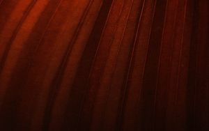Preview wallpaper leaf, stripes, macro, brown, dark