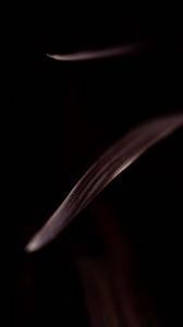 Preview wallpaper leaf, stripes, macro, dark, brown