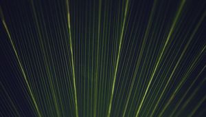 Preview wallpaper leaf, stripes, texture, macro, green
