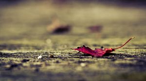 Preview wallpaper leaf, surface, autumn, fallen