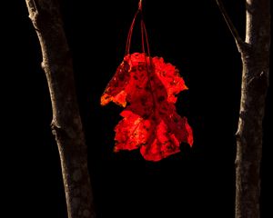 Preview wallpaper leaf, trees, black