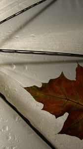 Preview wallpaper leaf, umbrella, yellow, maple, autumn, drops