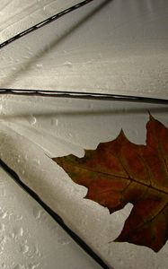 Preview wallpaper leaf, umbrella, yellow, maple, autumn, drops