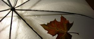 Preview wallpaper leaf, umbrella, yellow, maple, autumn, drops