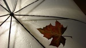 Preview wallpaper leaf, umbrella, yellow, maple, autumn, drops