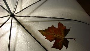 Preview wallpaper leaf, umbrella, yellow, maple, autumn, drops