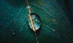 Preview wallpaper leaf, veins, drops, macro, green
