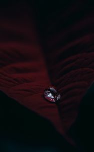Preview wallpaper leaf, velvet, drop, macro, red