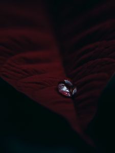 Preview wallpaper leaf, velvet, drop, macro, red