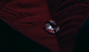 Preview wallpaper leaf, velvet, drop, macro, red