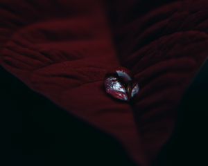 Preview wallpaper leaf, velvet, drop, macro, red
