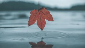 Preview wallpaper leaf, water, autumn, reflection