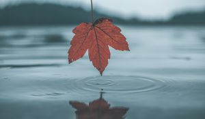 Preview wallpaper leaf, water, autumn, reflection