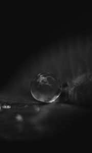 Preview wallpaper leaf, water, drop, macro, black and white, black