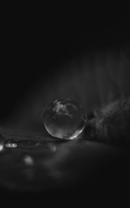 Preview wallpaper leaf, water, drop, macro, black and white, black