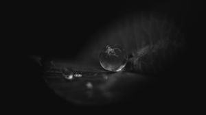 Preview wallpaper leaf, water, drop, macro, black and white, black