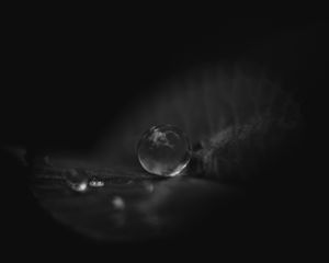 Preview wallpaper leaf, water, drop, macro, black and white, black
