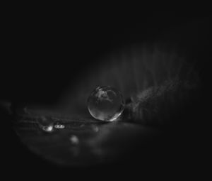 Preview wallpaper leaf, water, drop, macro, black and white, black