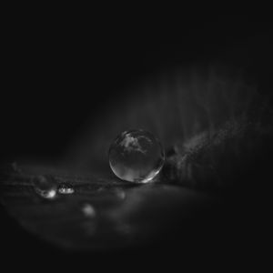 Preview wallpaper leaf, water, drop, macro, black and white, black