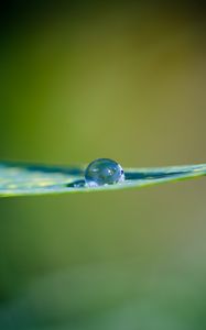 Preview wallpaper leaf, water, drop, macro