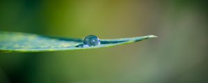 Preview wallpaper leaf, water, drop, macro