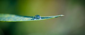 Preview wallpaper leaf, water, drop, macro