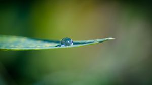 Preview wallpaper leaf, water, drop, macro