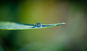 Preview wallpaper leaf, water, drop, macro
