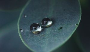 Preview wallpaper leaf, water, drops, glare, macro, green