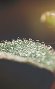 Preview wallpaper leaf, water, drops, macro, blur