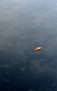 Preview wallpaper leaf, water, lake