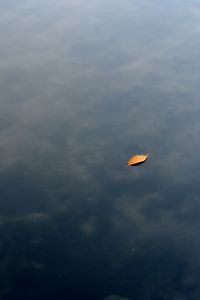 Preview wallpaper leaf, water, lake