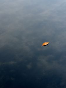 Preview wallpaper leaf, water, lake